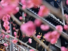 -海窝子古镇