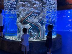 -哈尔滨波塞冬海底世界