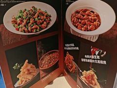-大鸭梨烤鸭(望京店)