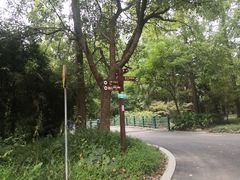 -东平国家森林公园