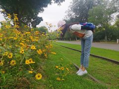 -永定河休闲森林公园