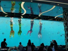 -瑞德姆美人鱼海底演艺主题餐厅(亚龙湾店)