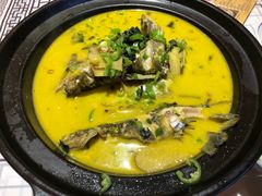 黄焖黄骨鱼-山涧肴·泉水煮活鱼(坂田店)