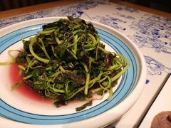 清炒苋菜-江南韵·无锡太湖文化体验餐厅(凤凰天街店)