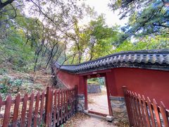 -阳台山自然风景区