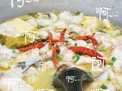 -腾龙阁|经典川菜(SM城市广场店)