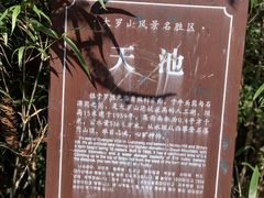 -大罗山风景区