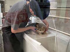 -沐沐家宠物(成寿寺店)