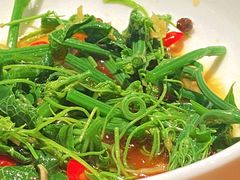 清炒丝瓜尖-一坐一忘云南菜(北京skp店)