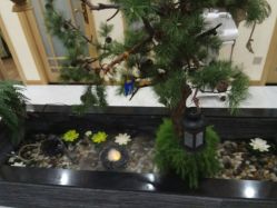 -芳朵美容养生SPA