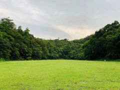 -李小龙乐园(顺德均安店)