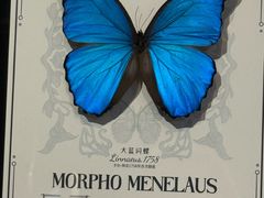 -三联韬奋书店(三里屯店)