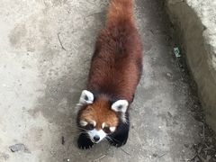 -南昌动物园