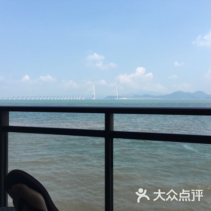 鹰龙海畔图片