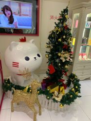 -咪咪比基尼脱毛专业店