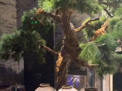 -绿茶餐厅(千岛湖银泰城店)