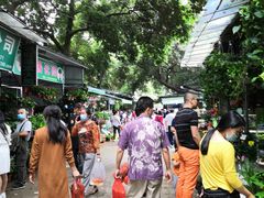 -桂林市花鸟市场