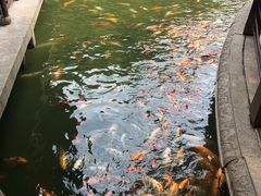-荆川公园