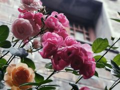 -老门东历史文化街区