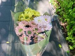 -溪岸路花鸟市场