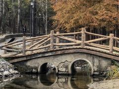 -白水寺森林公园