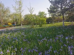 -永定河休闲森林公园