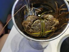 -半岛听涛蒸汽海鲜自助(K11店)