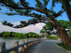 -江心屿景区