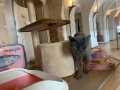 -Me Coffee下午茶艺术空间