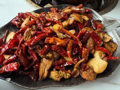 -蘑统田下·野生菌火锅