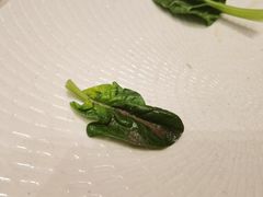 -新发展亚太JW万豪酒店·福苑咖啡厅