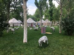 -九十九顶毡房(阜石路店)