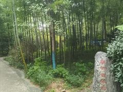 -紫金山天文台