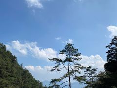 -三爪仑观音岩
