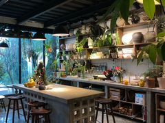 -自由生长植物工作室(深港花卉中心店)
