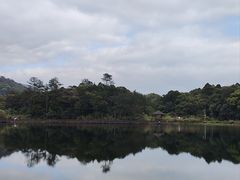 -海南热带雨林国家公园吊罗山景区