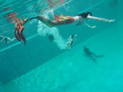 -重庆市奥林匹克体育中心-游泳跳水馆