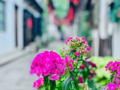 -小河直街历史文化街区