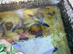 -耕渔小院·湖南鱼鲜(望城店)