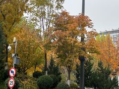 -西二旗(地铁站)