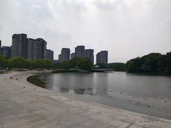 -新江湾城公园
