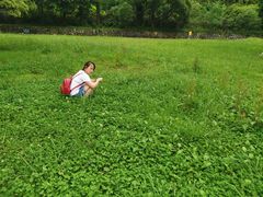 -贵州省植物园