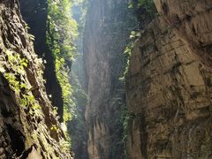 -武陵山森林公园