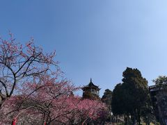 -无锡梅园公园