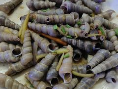 -艺林烤肉城(光明店)