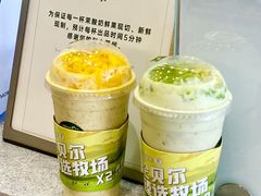 -茉酸奶(春熙路店)