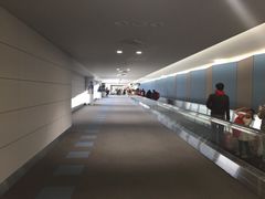 -中部国际机场