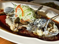 -新海渔港·胶东海鲜家常菜·家宴(奥体中心店)