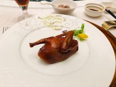 红烧乳鸽-顺峰(农展馆店)