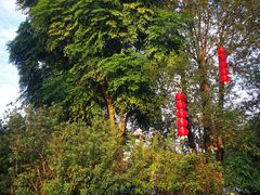 -汇雅温泉